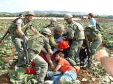Tulkarem : Arrestation d'un volontaire de l'ISM