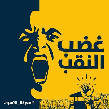 Résistance en Palestine : la lutte des prisonniers Avril 2019 N° 14