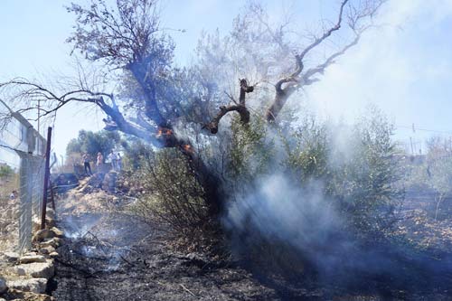 Des colons israéliens incendient la propriété d'une famille d'Hébron/Al-Khalil pour la huitième fois (vidéo)