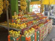 Le blocus aggrave la malnutrition à Gaza