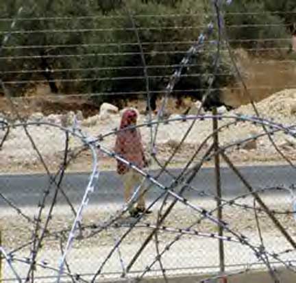 Arab Abu Farda, district de Qalqiliya