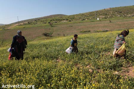 30 Mars 2011 : Une Nakba à petit feu dans la vallée du Jourdain