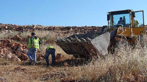 En prélude au vol de terre, le saccage des moyens de subsistance à Aqraba