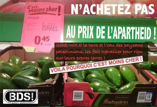 Injustice agricole : Cessons tous les échanges avec les entreprises agricoles israéliennes
9 février 2013 - Lancement de campagnes contre les sociétés agricoles israéliennes
