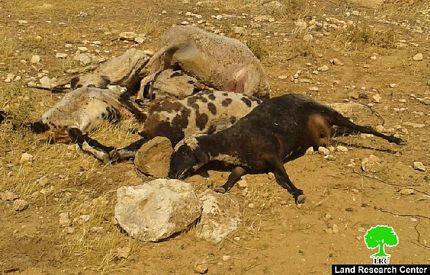 Des villages palestiniens privés d'accès à l'eau par Israël