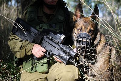 Le scandale des milliers de Français qui servent dans l’armée d’occupation israélienne
