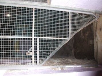 Une journée à Hébron : Les colons mettent le feu à une école, crachent sur un bébé, attaquent les passants et les militants internationaux
