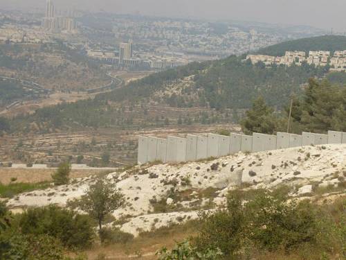 Dernière récolte des olives pour les Palestiniens de la Vallée de Crémisan