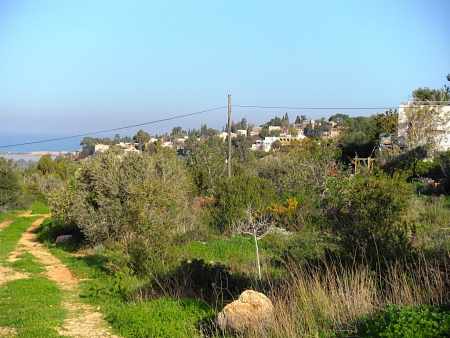 Ayn Hod, Lifta et Haïfa