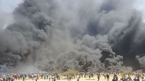 En Direct de Gaza : 9 morts et 1200 blessés dans la bande de Gaza -bilan provisoire- La créativité non-violente face à la brutalité de l’occupation