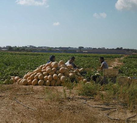 Urgence Gaza : le château (d’eau) d’Abu Jamal