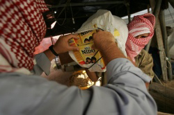 Hamas, la meilleure chance pour la paix sur la terre des Philistins