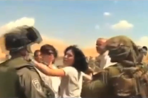 Dans la tête d'un Bédouin palestinien (vidéos)