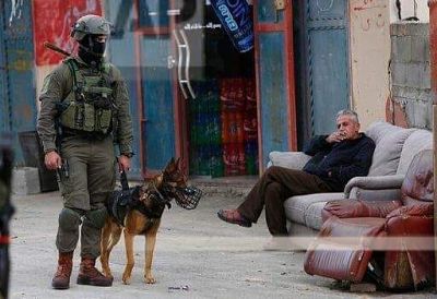 Appel urgent aux défenseurs internationaux des droits de l’homme : Venez en Palestine à la mi-mai (du 13 au 19) pour soutenir le boycott du concours Eurovision de la chanson à Tel Aviv !