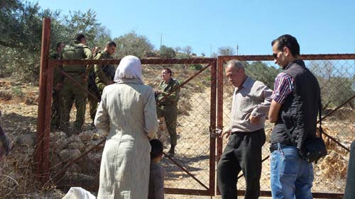 Une famille chassée de son oliveraie à Qaryut pendant la récolte des olives