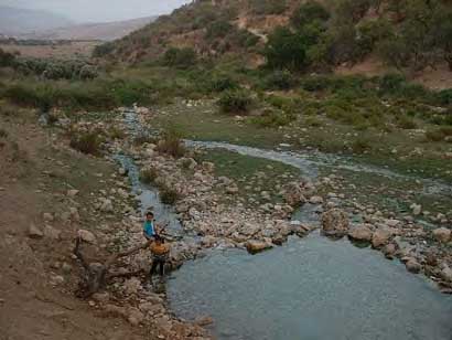Le rôle de l'eau dans la politique israélienne d'occupation de la Palestine